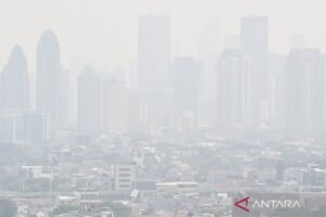 Asap Kebakaran Hutan Kalimantan Berpotensi Tiba di Jakarta, Ini Penjelasan Ilmiahnya