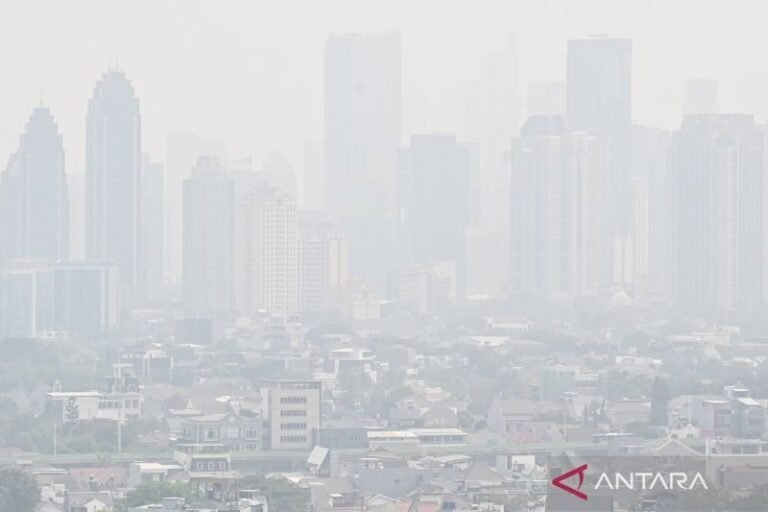 Asap Kebakaran Hutan Kalimantan Berpotensi Tiba di Jakarta, Ini Penjelasan Ilmiahnya