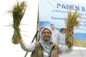 Bulog Jawa Tengah Lampaui Target Serapan Gabah, Capai 108 Persen Hingga Oktober 2026