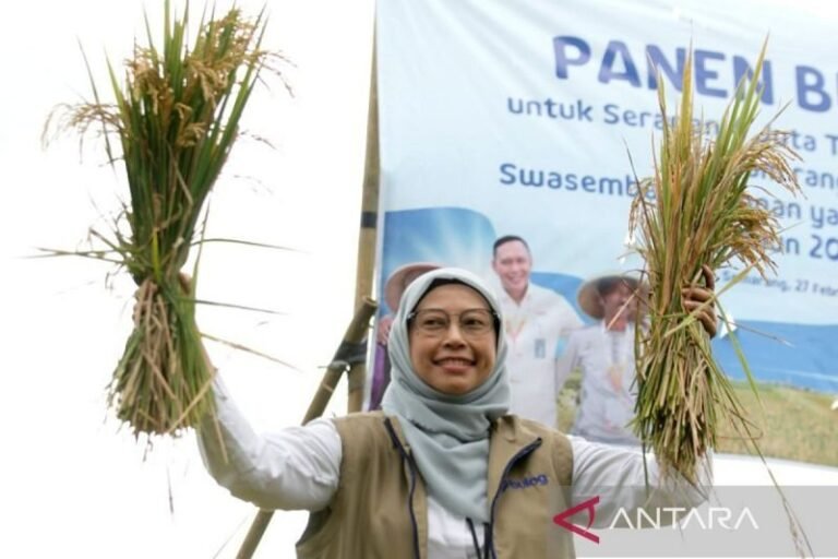 Bulog Jawa Tengah Lampaui Target Serapan Gabah, Capai 108 Persen Hingga Oktober 2026