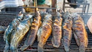 Sering Makan Lele? Kenali Manfaat Gizinya dan Risiko yang Perlu Diwaspadai